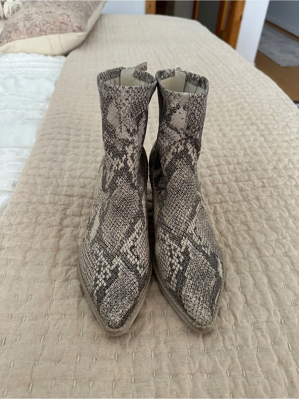 Dolce Vita Snake-Print Pointed Toe Ankle Booties in Neutral